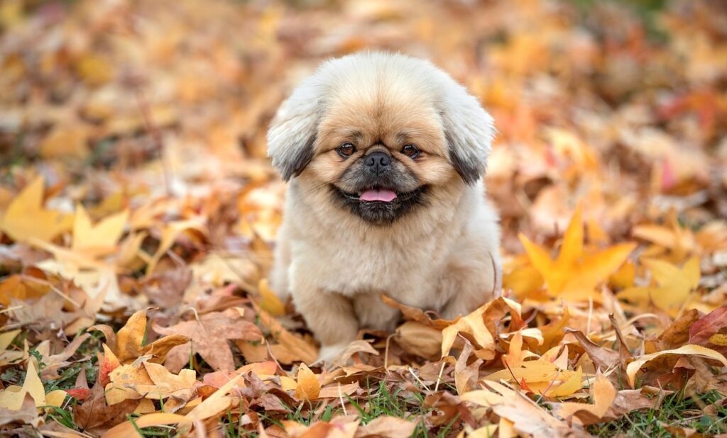 エステの都度払いが東京で人気の理由とは？