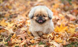 エステの都度払いが東京で人気の理由とは？