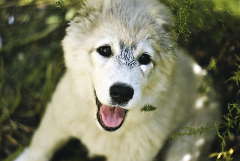 都度払いで脱毛を大阪で受けるメリットは？