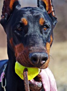 都度払いのフェイシャルが大宮で安いサロンはどこ？