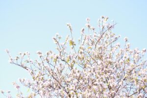 池袋でおすすめの都度払い痩身エステはどこですか？