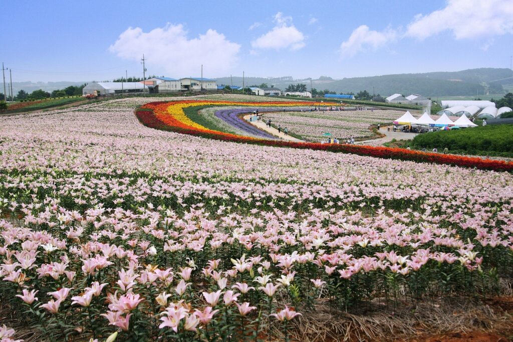 全身脱毛を都度払いで激安に受ける方法は？
