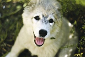 都度払いの脱毛で学生向けのVIOケアはどう選ぶべき？