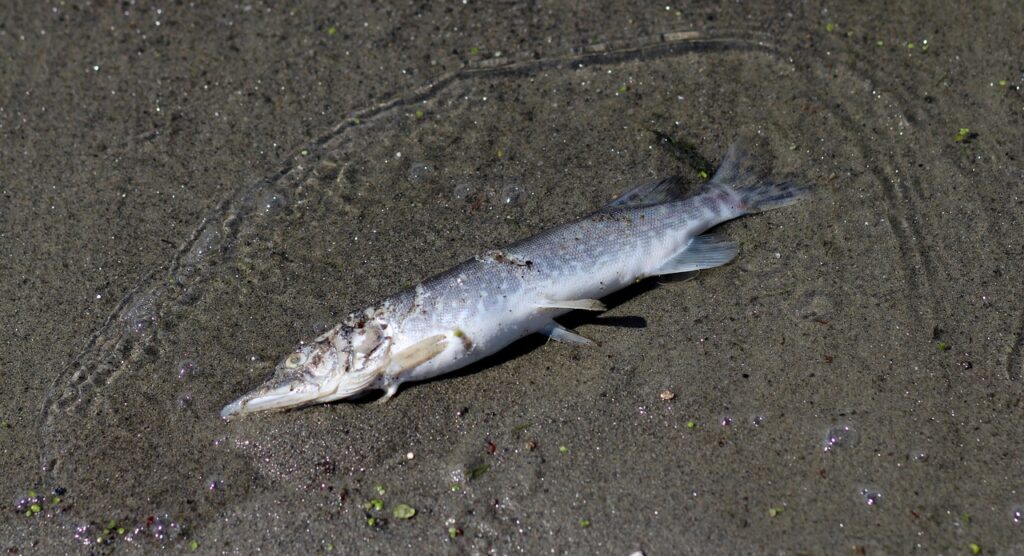 全身脱毛の都度払いは評判が良いのか？