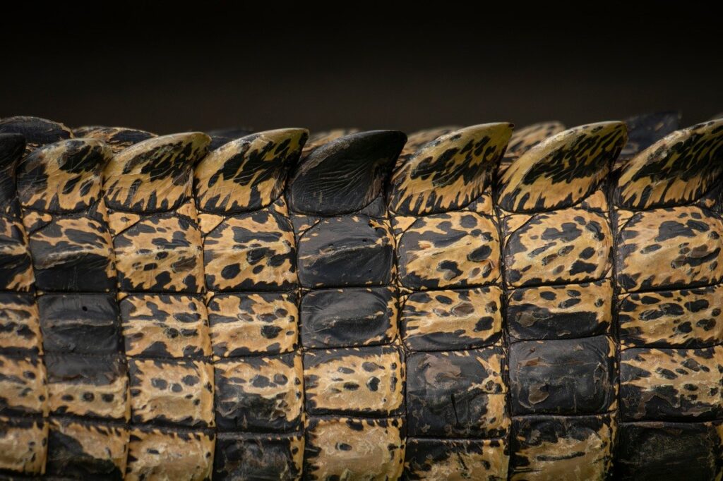 エステの効果が肌の質感に与える影響とは？