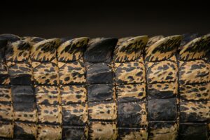 エステの効果が肌の質感に与える影響とは？