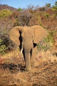 エステでだまされないためのポイントは？