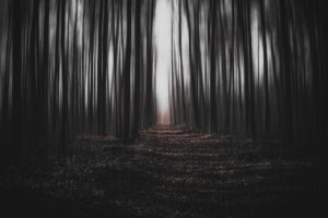 エステの効果は現実的にどれくらい期待できるのか？