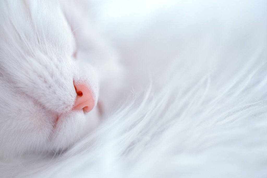 エステが睡眠に与える影響とは？